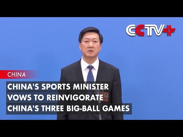 丹麥隊的隊